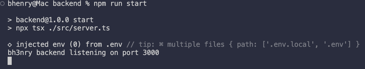 npm run dev via cli / express