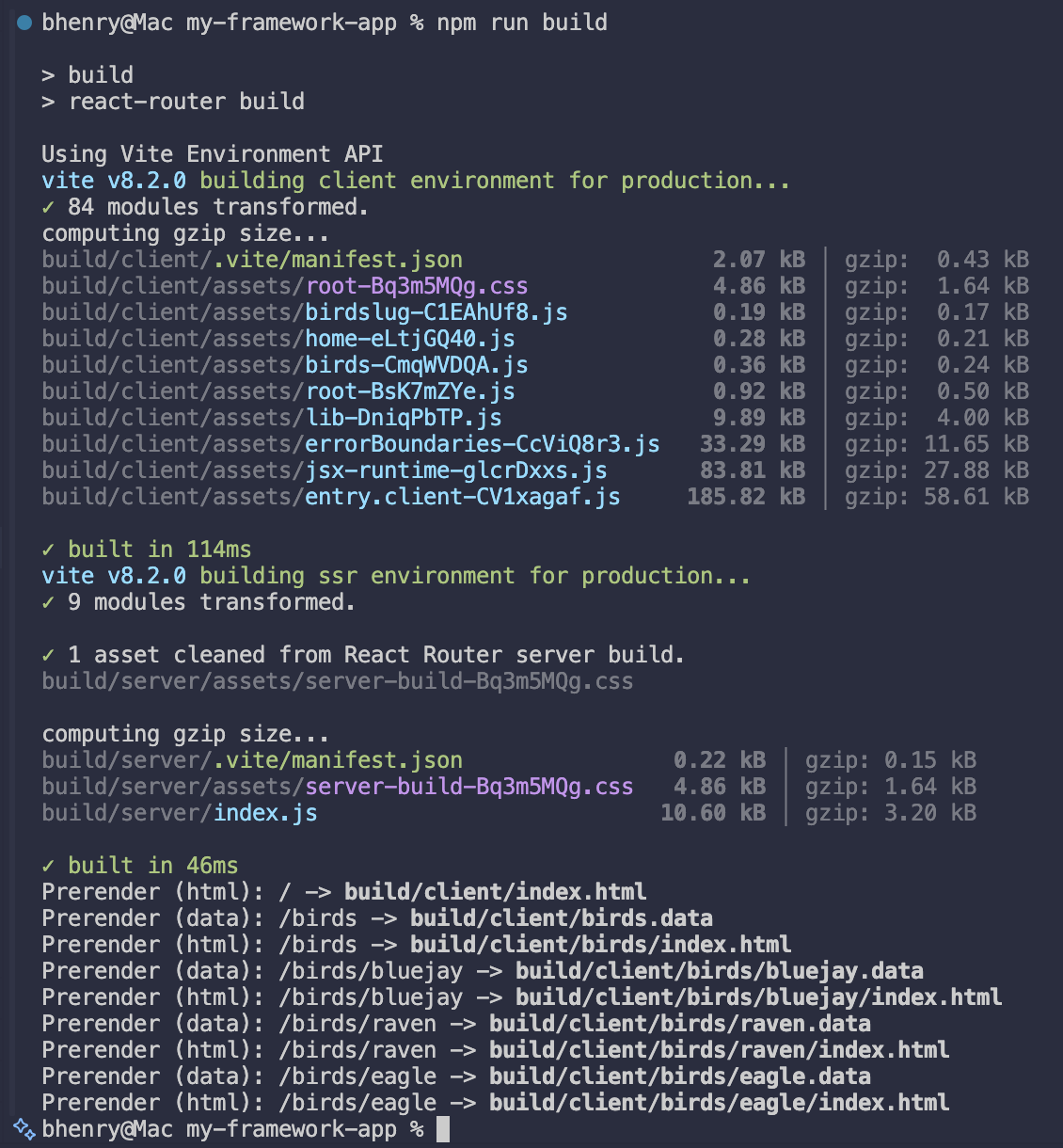 build command output